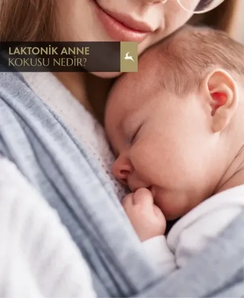 Laktonik Anne Kokusu Nedir?