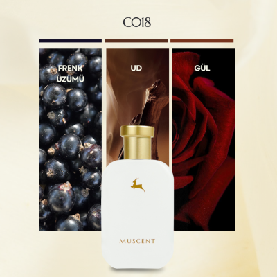 C018 Mat Noire - MUSCENT (1)