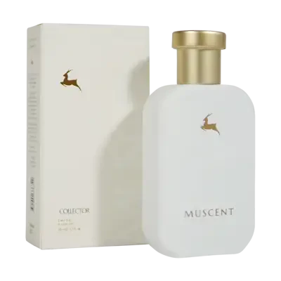 C066 Fruity Chypre - 1