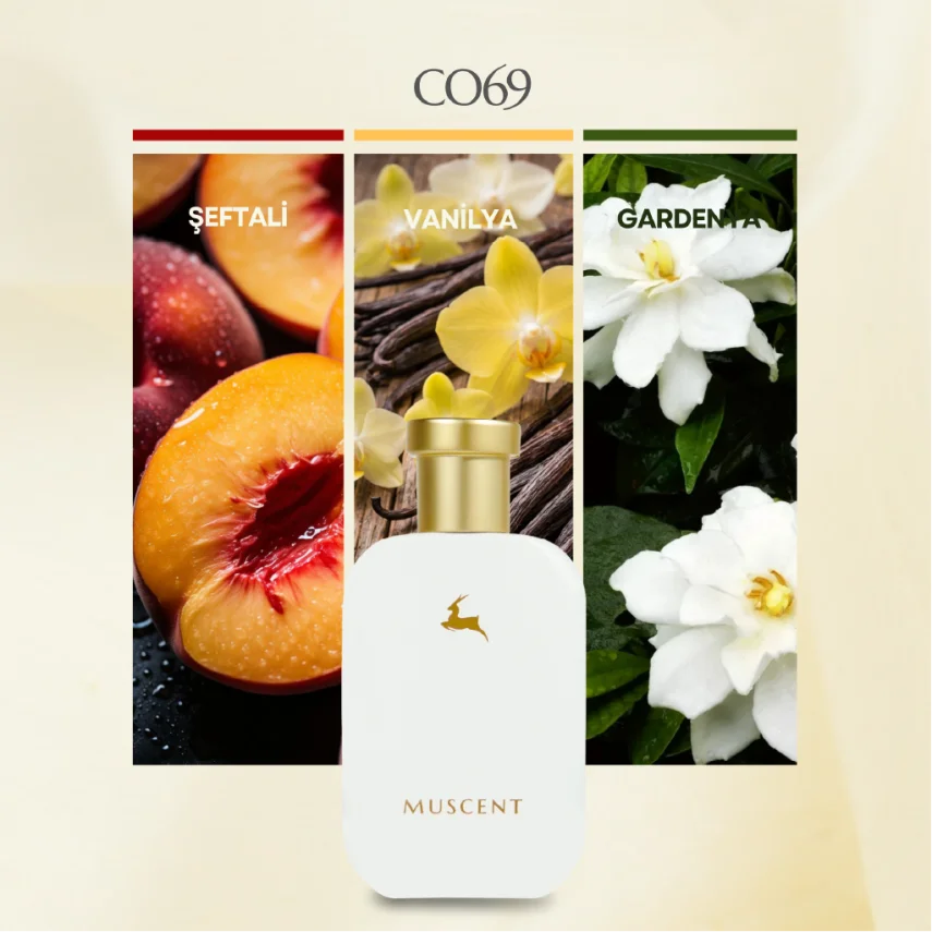 C069 100 Silent Way - 3