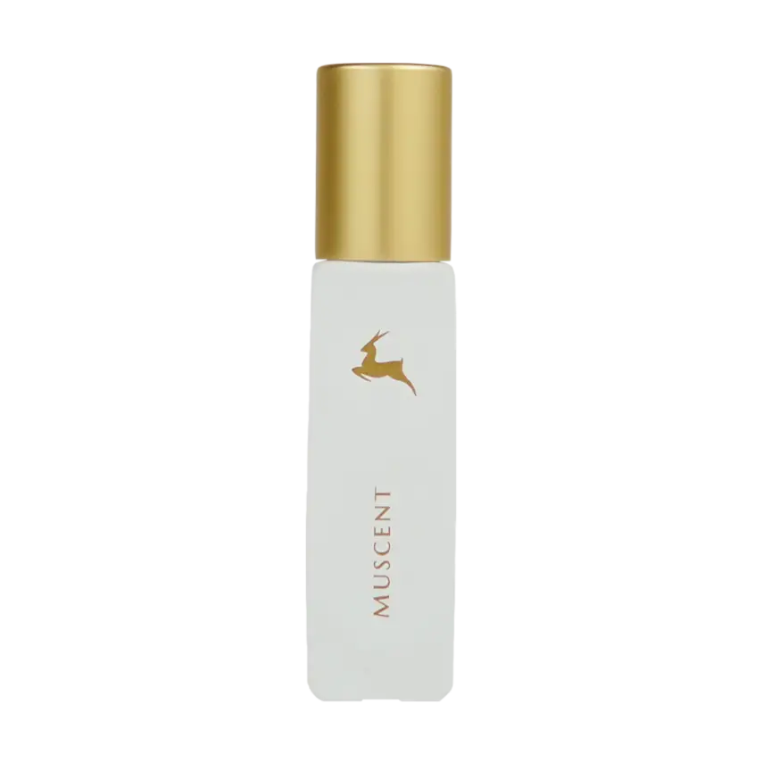 C073 Gouilty Elixir M - 2