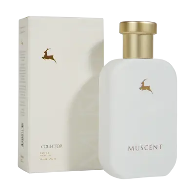 C073 Gouilty Elixir M - 1