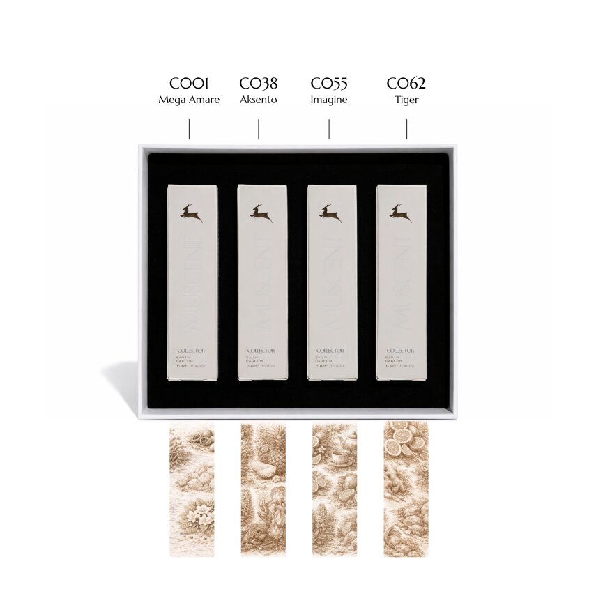 Collector Erkek Tanışma Seti - 2