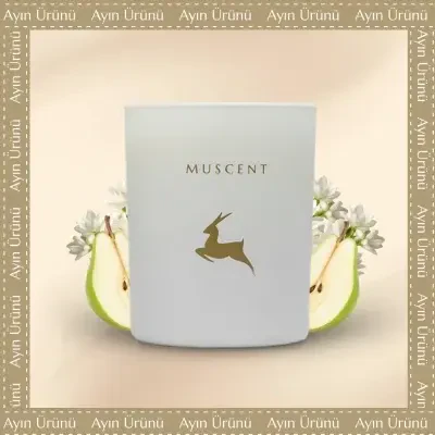 English Pear Freesia Mum - 1