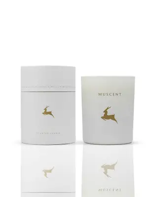 English Pear Freesia Mum - 1