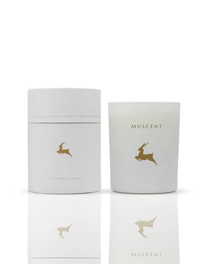 English Pear Freesia Mum - 1