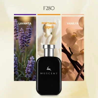 F280 LibereWomen - 3