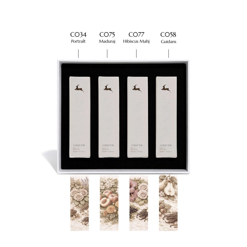 Kışa Özel Collector Kadın Set - 2