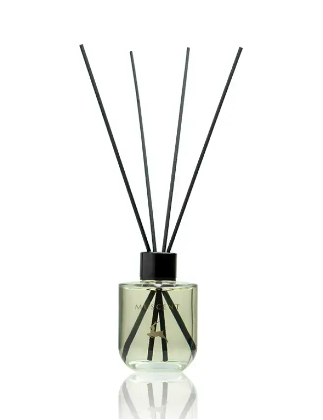 Linden Blossom - MUSCENT