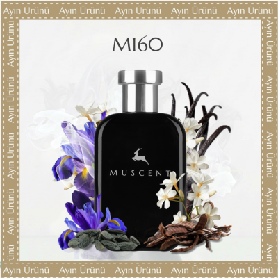 M160 VUomo Int - MUSCENT