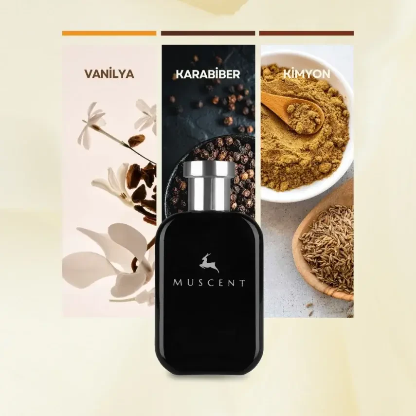 M162 Sbomb Extra - 2