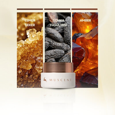 Vanilla Fairy Solid Krem Parfüm - MUSCENT (1)