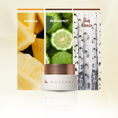 Woody Chypre Solid Krem Parfüm - MUSCENT (1)